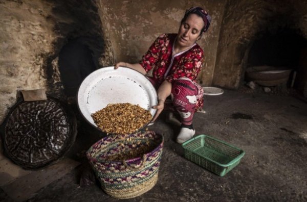 Au Maroc La D Saffection Des Jeunes Et La M Canisation Menacent L