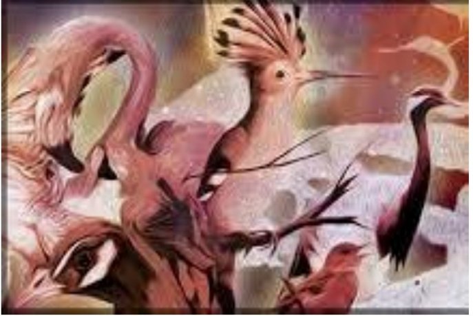 La Huppe et les Douze Oiseaux : quand le soufisme éclaire les rêves d’enfance à Sidi Moumen