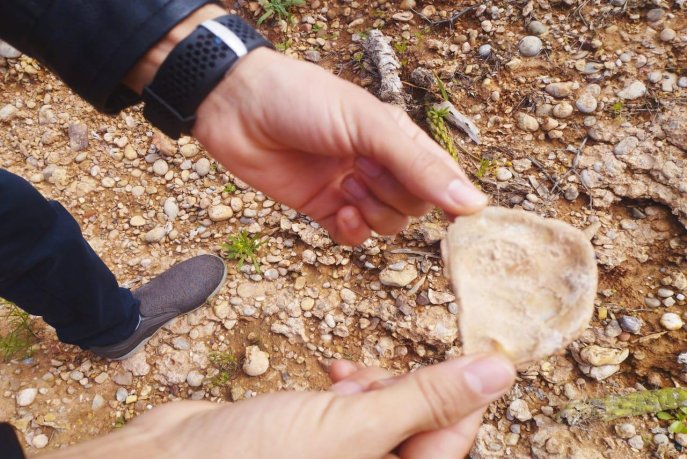 cinema-mon-amour-de-driss-chouika-palestine-entre-devoir-de-memoire-et-manifeste-politiq