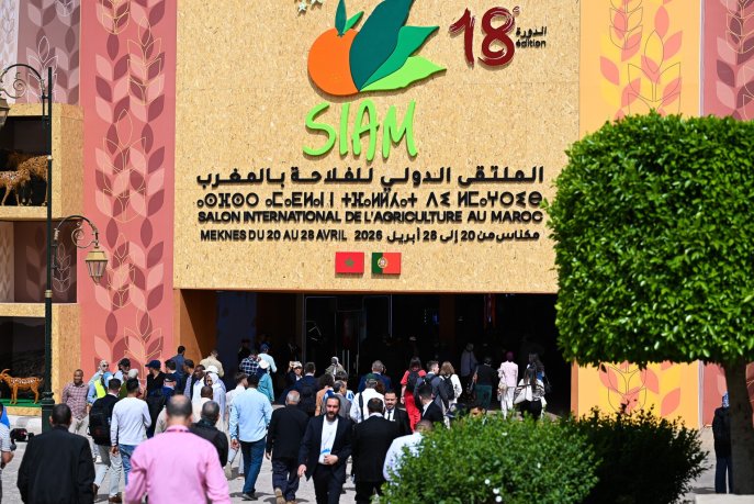 que-voulez-vous-de-moul-lhanout-lepicier-du-quartie–-par-mohamed-chahid-