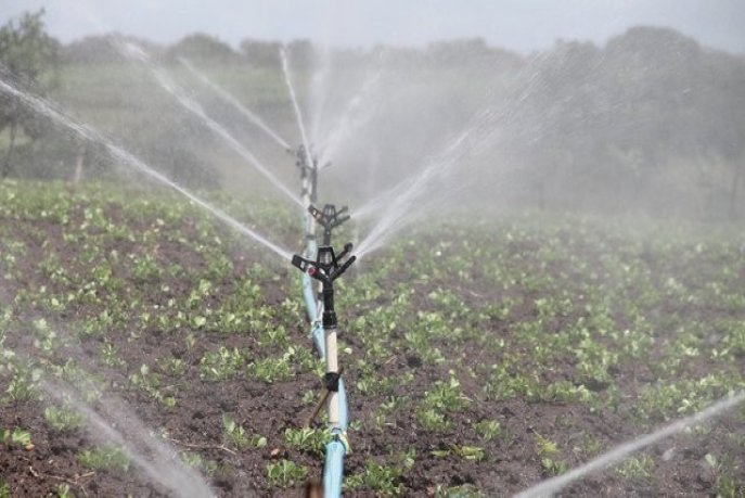 Al Haouz : l'irrigation reprend progressivement après plusieurs années de sécheresse