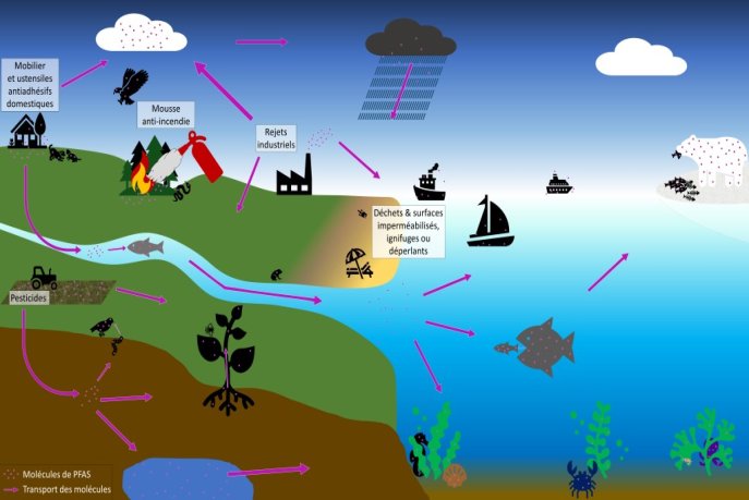 Polluants éternels : les capacités de dépollution restent très insuffisantes, selon une étude