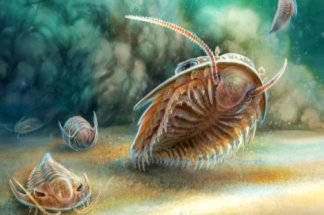 une-vie-marine-datant-de-515-millions-d’annees-piegee-dans-des-depo