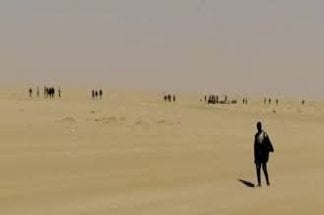 les-corps-de-12-migrants-retrouves-pres-de-la-frontiere-algerienne-