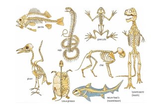 berrechid-au-coeur-de-la-memoire-du-vivant