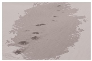 theatre-riad-sultan-a-tanger-et-traces-sur-rivages-a-lhonneur-de-la-diaspora-a-rabat