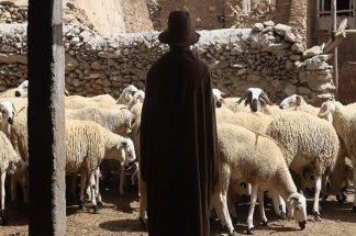 reconstitution-du-cheptel-lancement-du-controle-et-versement-imminent-de-la-seconde-aide