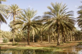 le-maroc-en-breves-peche-agriculture-transparence-et-cybersecurite-