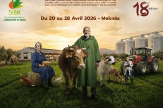 siam-2026-meknes-au-coeur-des-enjeux-agricoles-mondiaux