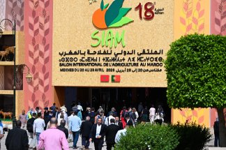 lessentiel-du-siam-souverainete-fourragere-innovation-et-cooperation-au-coeur-des-defis-agricoles