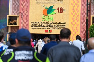siam-meknes-au-rythme-dune-agriculture-en-fete,-effervescence-grand-public-et-rendez-vous