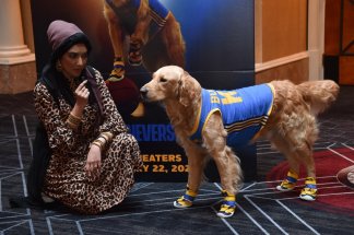 nom-dun-chie-l-ia-ne-remplacera-pas-les-animaux-au-cinema