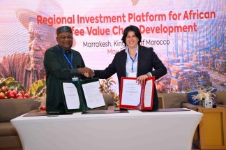 a-marrakech-l-afrique-reprend-larchitecture-de-sa-filiere-cafe-african-coffee-hub-lance-le-programm