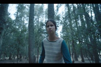 la-culture-en-breves-theatre-poesie-animation-et-cinema-