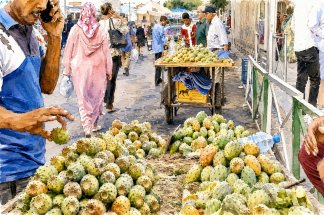 maroc-grece-deux-trajectoires-pour-un-meme-fruit-devenu-mediterraneen