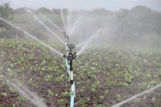 Al Haouz : l'irrigation reprend progressivement après plusieurs années de sécheresse