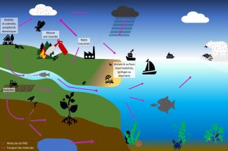 polluants-eternels-les-capacites-de-depollution-restent-tres-insuffisantes-selon-une-etude