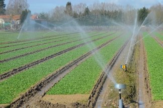 loukkos-millions-de-dirhams-pour-moderniser-lirrigation-et-renforcer-lagriculture