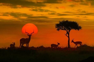Afrique du Sud : la bataille des noms entre mémoire et pragmatisme