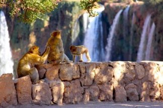 Ouzoud, entre splendeur naturelle et moteur de l’économie locale