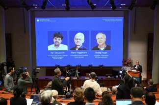Le Nobel de médecine récompense des travaux sur les mystères du cerveau